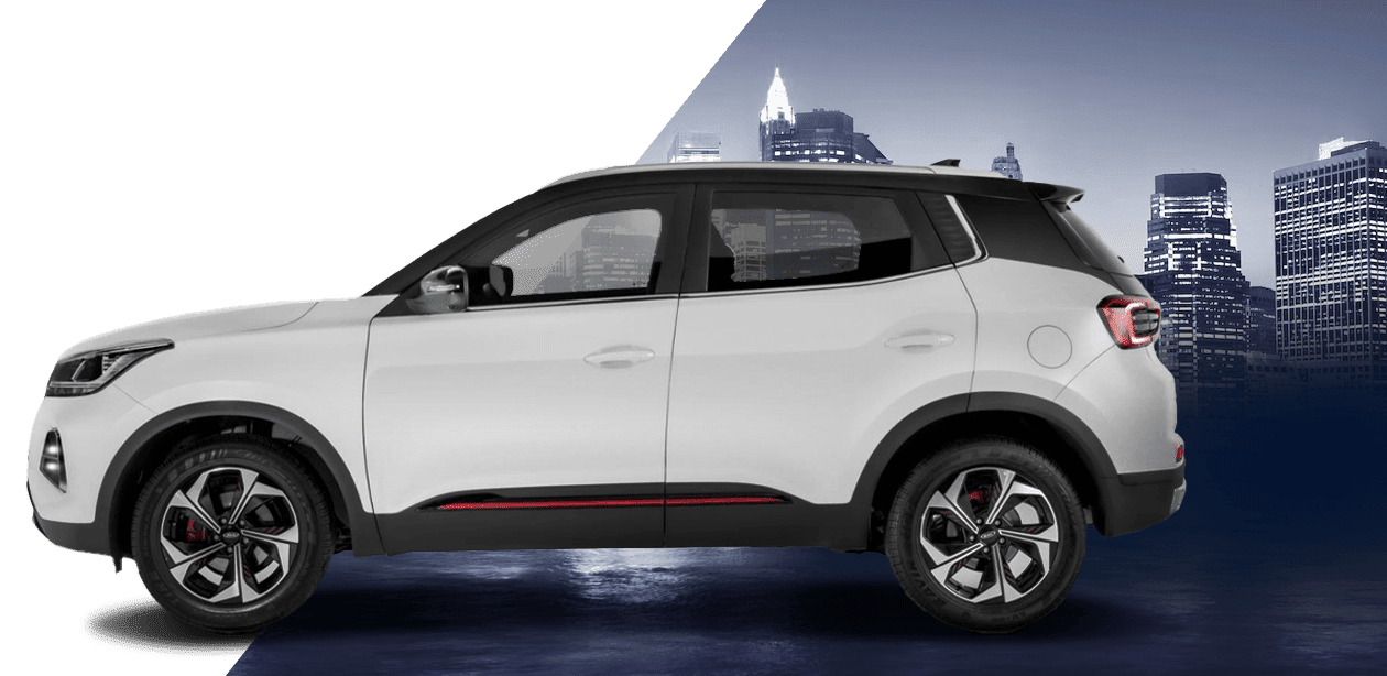 بنر محصولات شگفت‌انگیز ۲